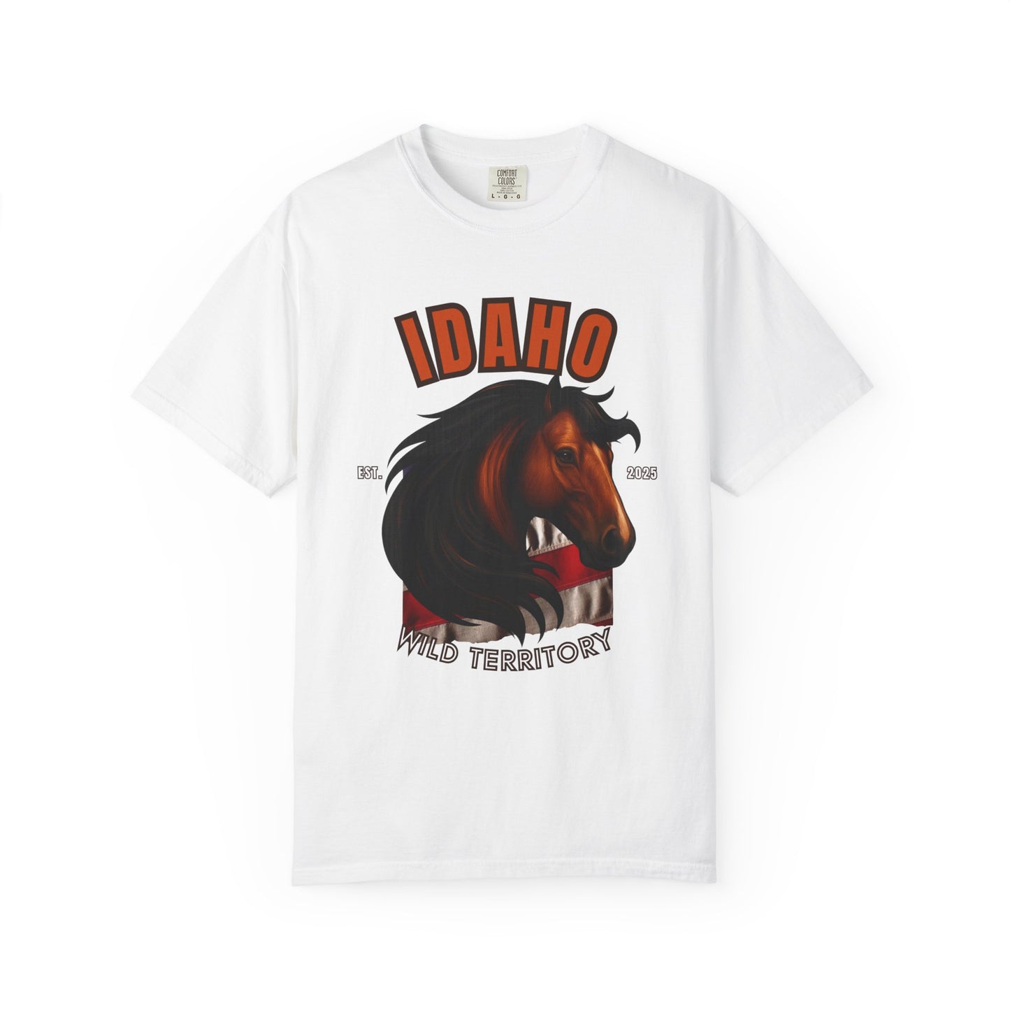 IDAHO - APPALOOSA HORSE