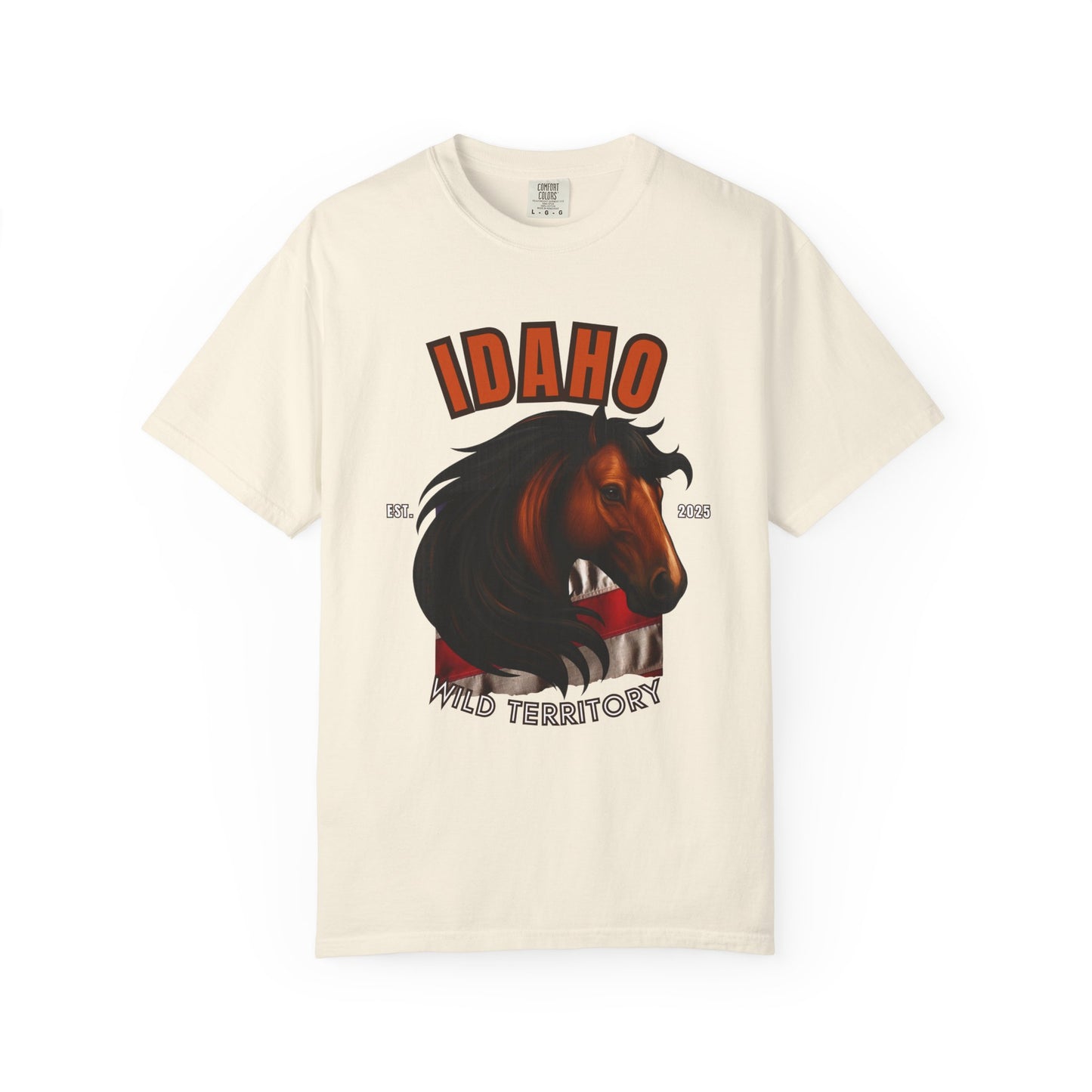 IDAHO - APPALOOSA HORSE