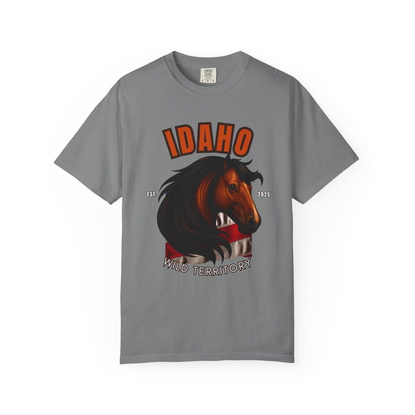 IDAHO - APPALOOSA HORSE