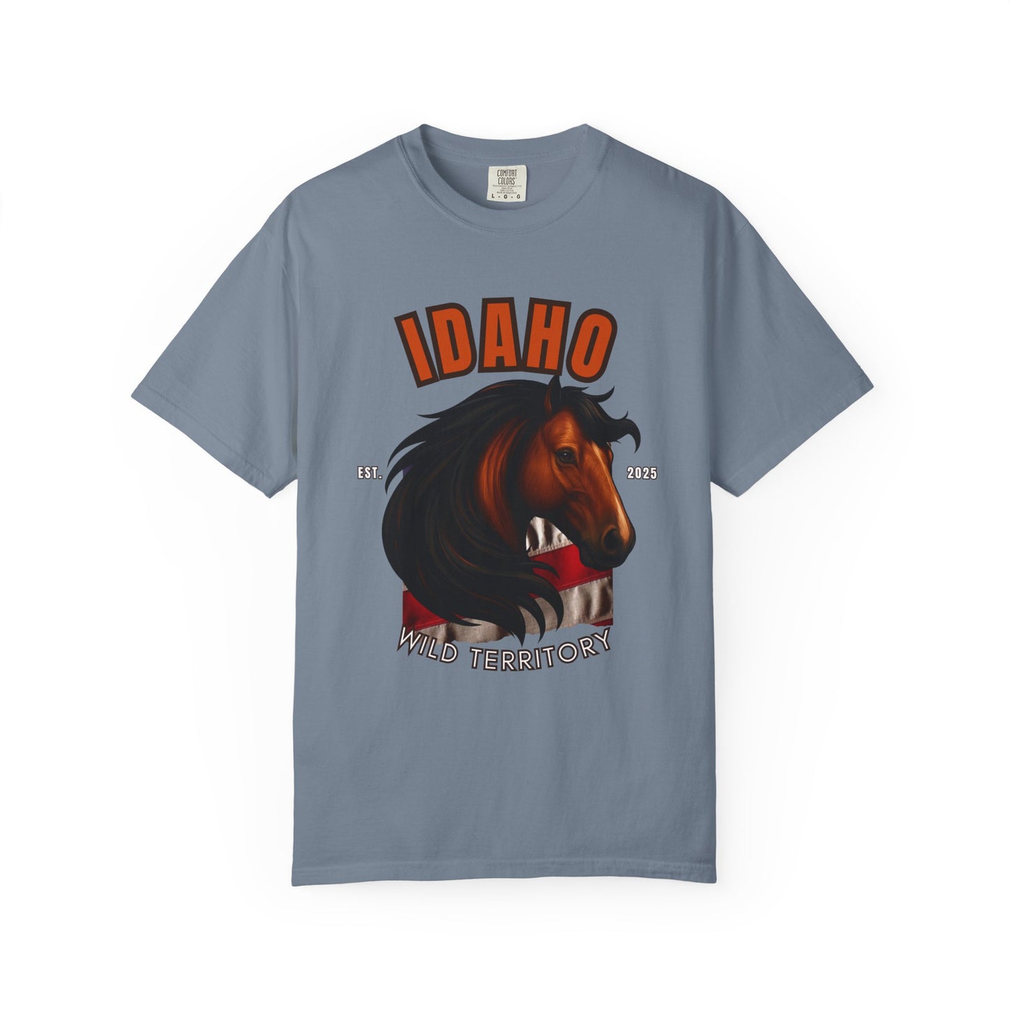 IDAHO - APPALOOSA HORSE